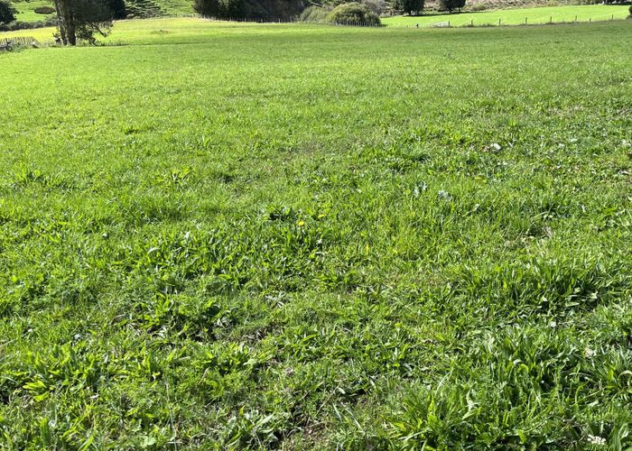  at Lot 4 632 Mangaotuku Road, Stratford East, Stratford, Taranaki