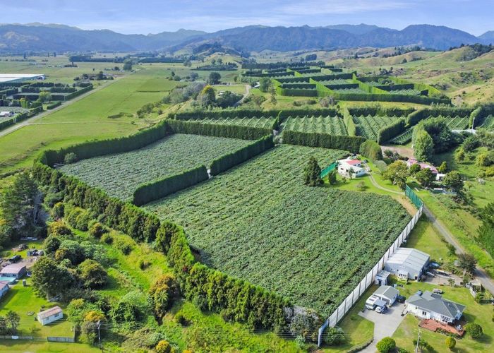  at 13 Dr Reid Road, Opotiki, Opotiki, Bay Of Plenty