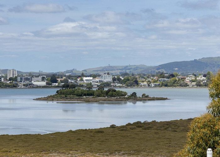  at 250b Grange Road, Otumoetai, Tauranga, Bay Of Plenty