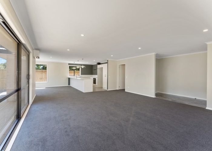  at 99A Maxwells Line, Awapuni, Palmerston North