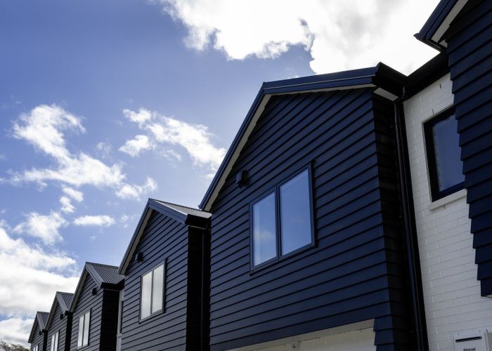  at 161 Ohaupo Road, Te Awamutu, Waipa, Waikato