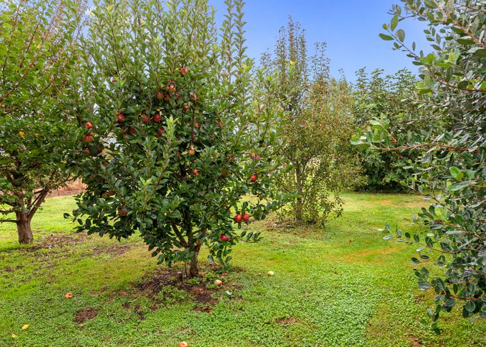  at 3127 Cambridge Road, Rotoorangi, Cambridge