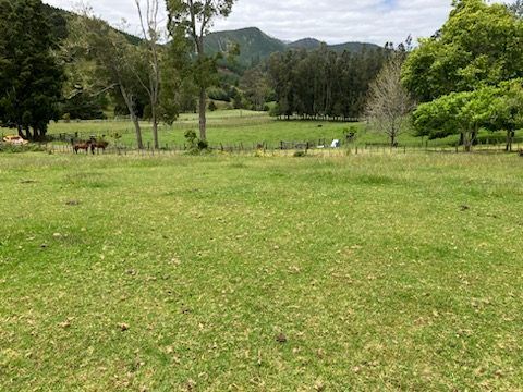  at 56 Pa Road, Hahei, Whitianga