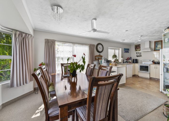 at 117 Auckland Road, Greenmeadows, Napier, Hawke's Bay