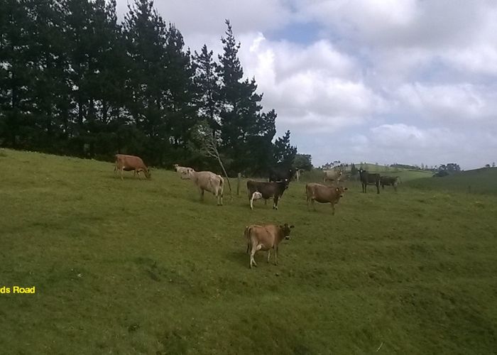  at 30 Richards Road, Te Kowhai