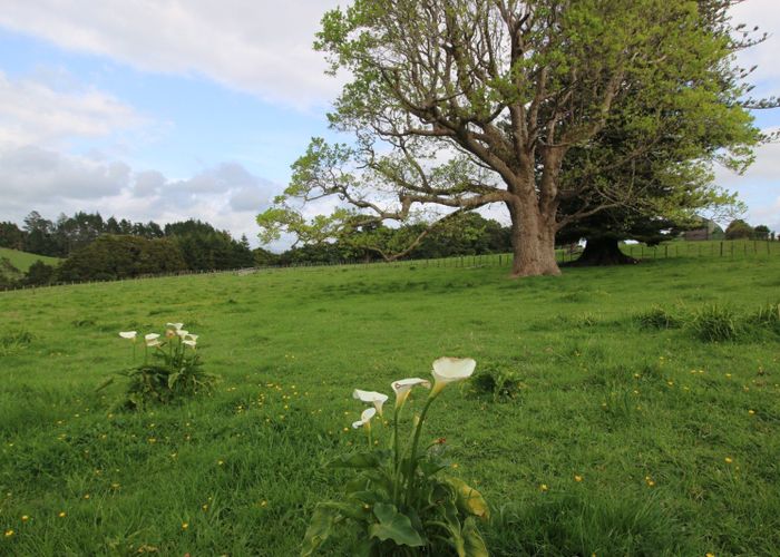  at 41 Pinehill Road, Pakaraka, Far North, Northland