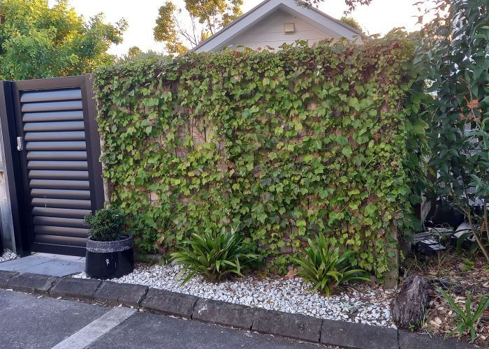  at Windsor Park, North Shore City, Auckland