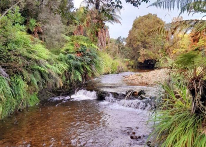  at 8/247 Blue Spur, Hokitika, Westland, West Coast