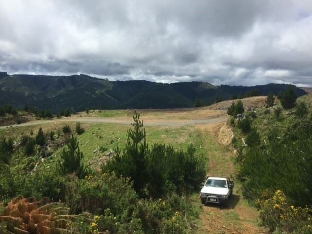  at Lot 4/669 Paekakariki Hill Road, Pauatahanui, Porirua, Wellington