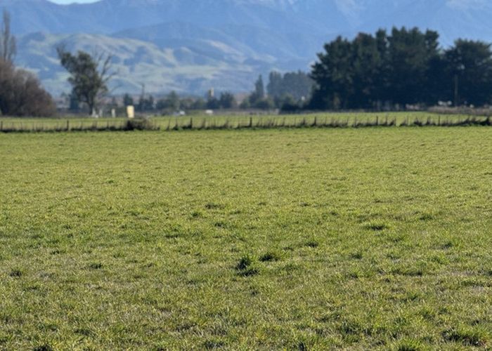  at 250 South Road, Masterton, Masterton, Wellington