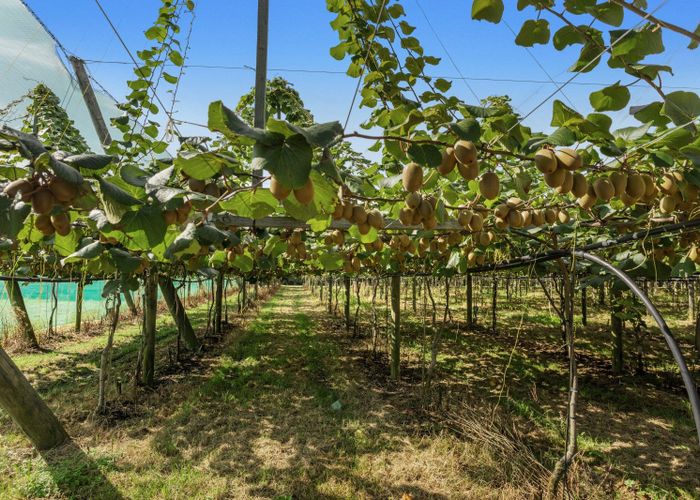  at 278 Paroa Road, Whakatane, Whakatane, Bay Of Plenty