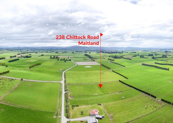  at 238 Chittock Road, MAITLAND, GORE