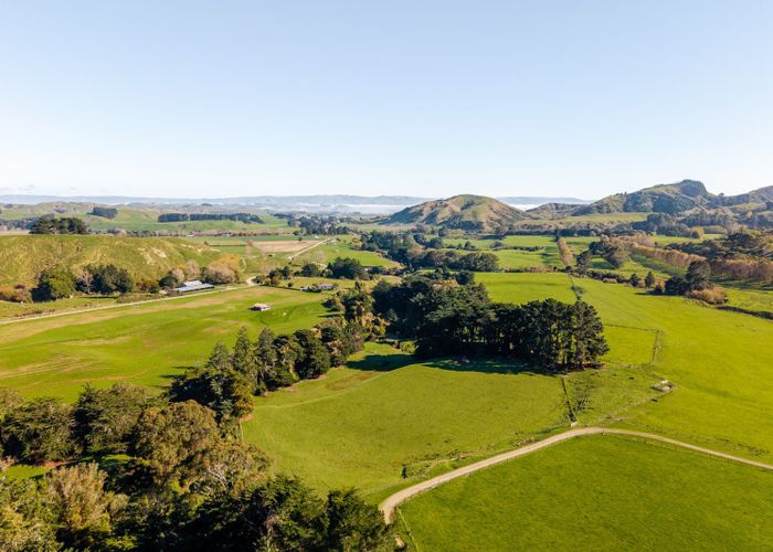 at 99 Surreydale Road, Pahiatua, Tararua, Manawatu / Whanganui