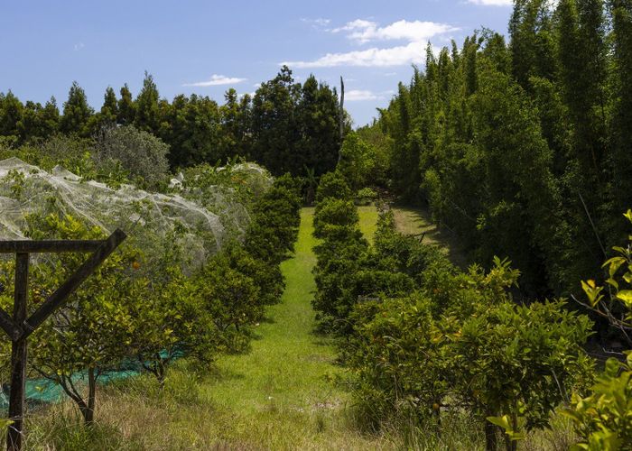  at 142 Takahe Road/ 2 Kaka St, Ahipara, Far North, Northland