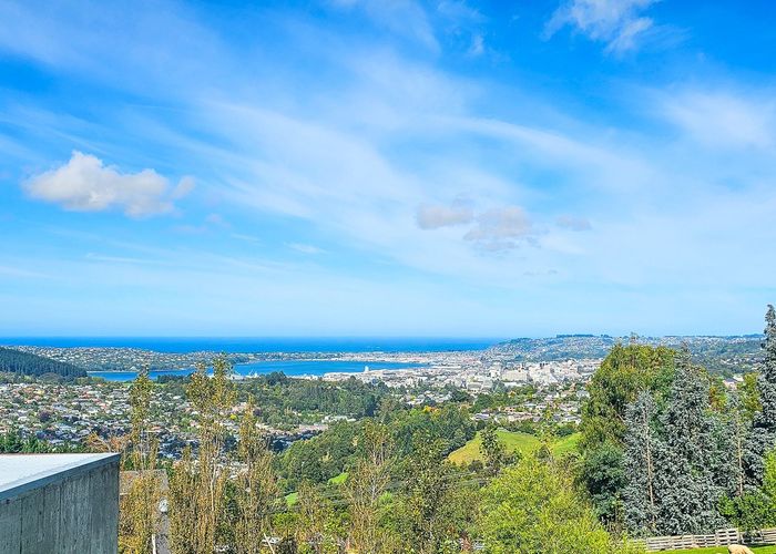  at 10 Dalrymple Street, Pine Hill, Dunedin, Otago