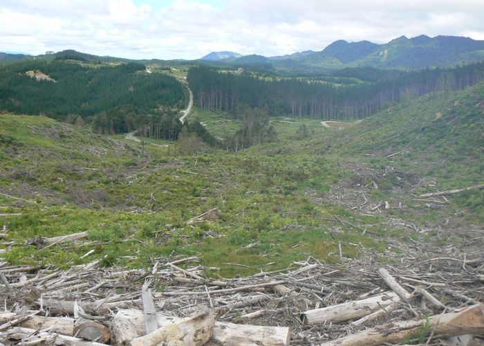  at Lot 65 Stoney Creek Road, Kaikohe, Far North, Northland