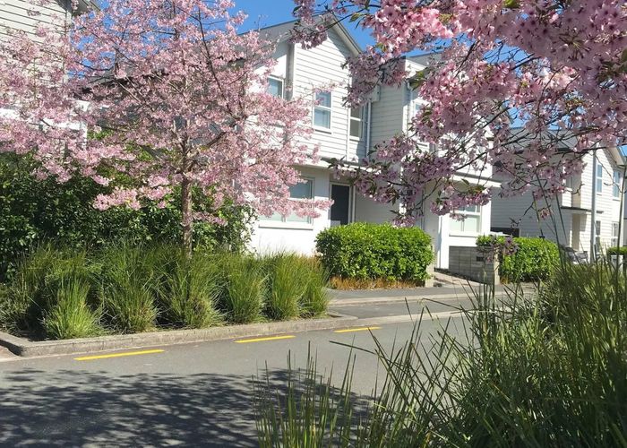  at 20 Lester Street, Hobsonville, Waitakere City, Auckland