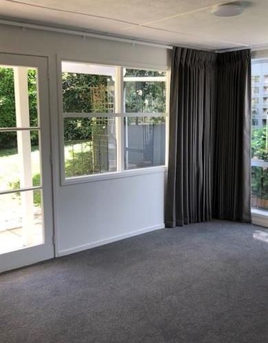  at 336 Kohimarama Road, St Heliers, Auckland