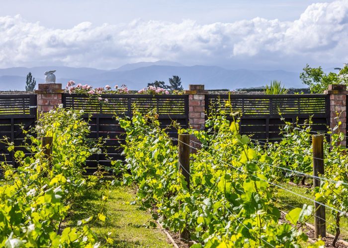  at 56 Princess Street, Martinborough