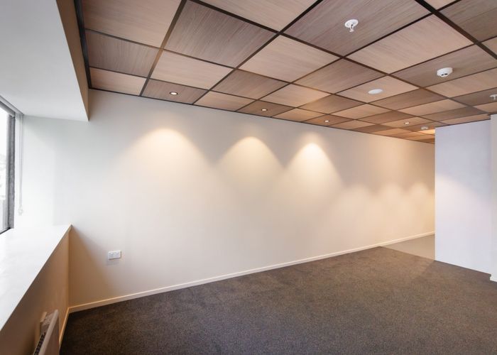  at Type '05'/203 Willis Street, Te Aro, Wellington, Wellington