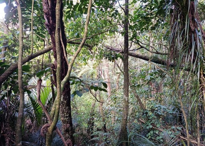  at Oratia, Waitakere City, Auckland