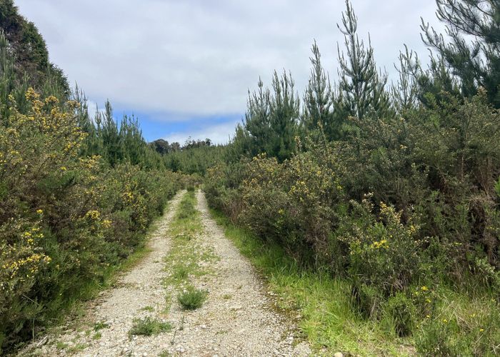  at Marsden Road, Paroa, Grey, West Coast