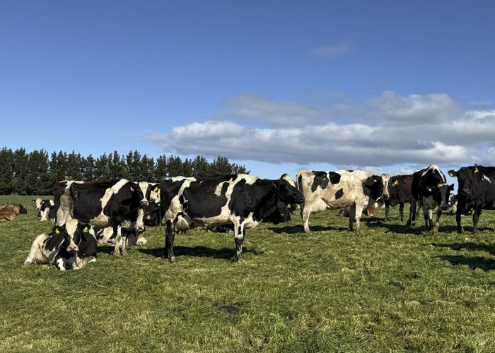  at 169 Hamilton Road, Isla Bank, Southland, Southland