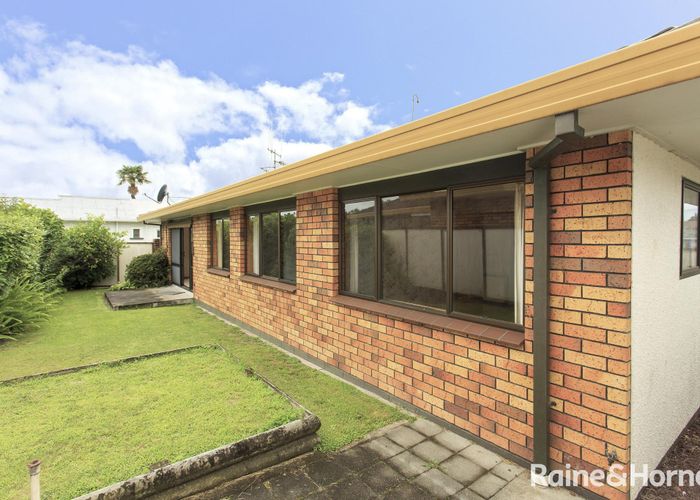  at 497B Devonport Road, Tauranga South, Tauranga, Bay Of Plenty