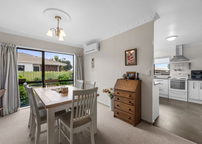  at 19 Hibiscus Avenue, Mount Maunganui, Mount Maunganui
