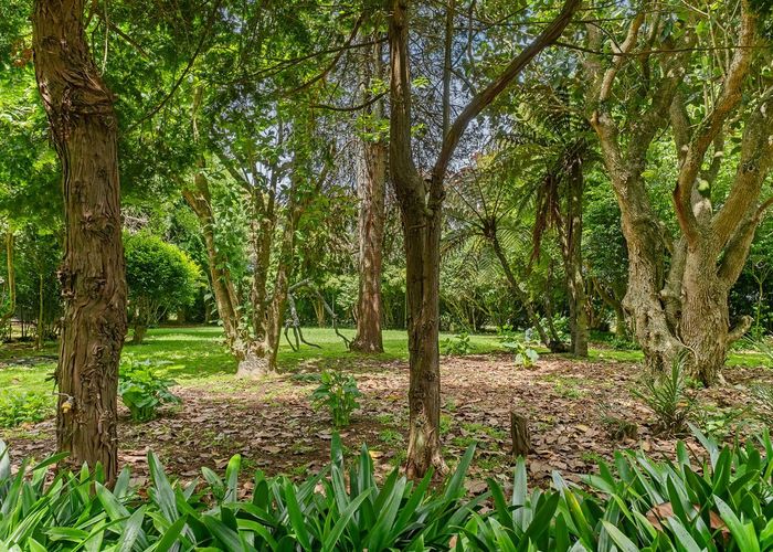  at 1252 Devon Road, Sentry Hill, New Plymouth