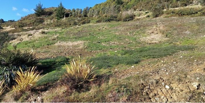  at 2 Middle Paddock, BLUE SPUR, HOKITIKA