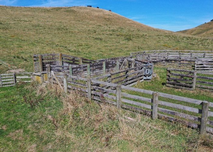  at 146a Hopelands Road, Woodville, Tararua, Manawatu / Whanganui