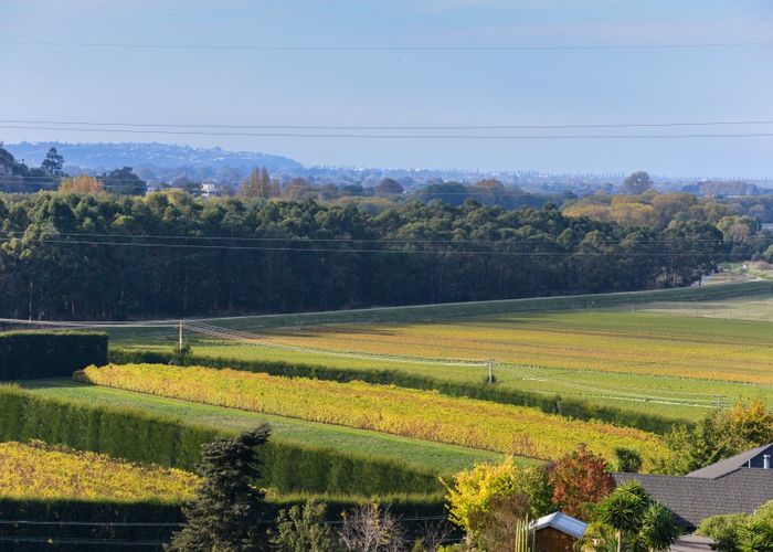  at 3/41 Omarunui Road, Waiohiki