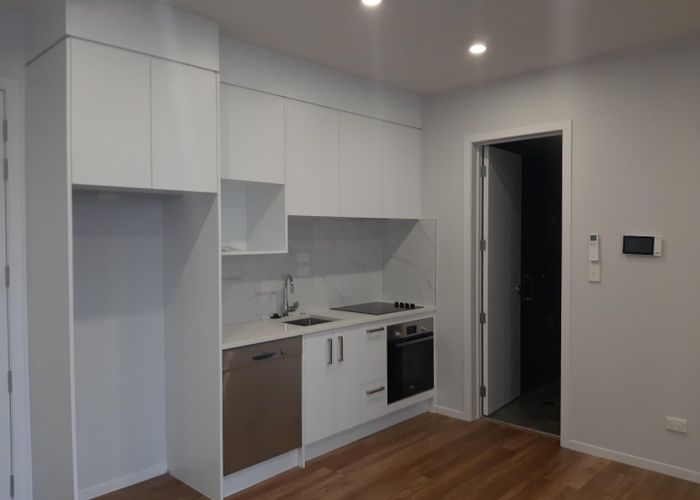  at 113/98 Haverstock Road, Sandringham, Auckland City, Auckland