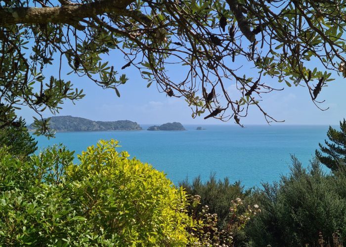  at 1114 Colville Road, Coromandel, Thames-Coromandel, Waikato