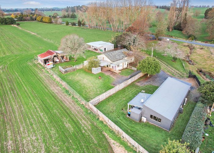  at 794 Pirongia Road, Pirongia, Pirongia