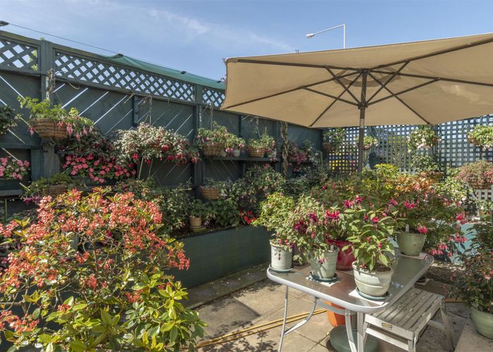  at 224 Waihi Road, Judea, Tauranga