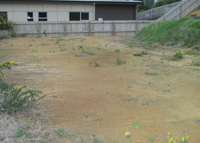  at 22 Seabreeze Way, Raglan, Raglan