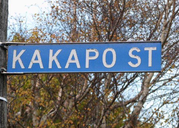  at 130 Kakapo Street, Gore, Gore
