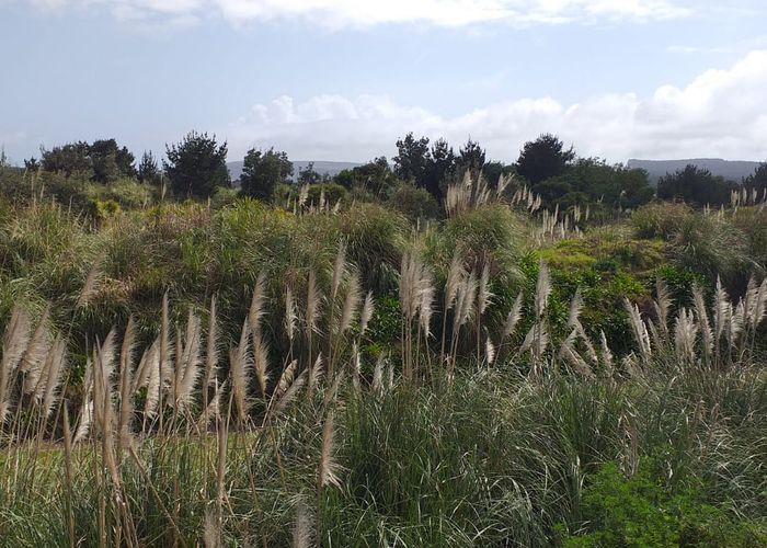  at 18 Ashwell Drive, Port Waikato