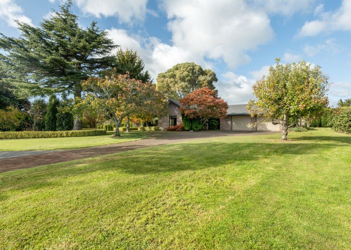  at 84 Carmichael Road, Bethlehem, Tauranga