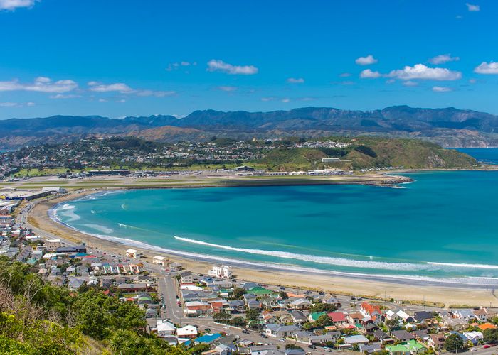  at 69 Hornsey Road, Melrose, Wellington