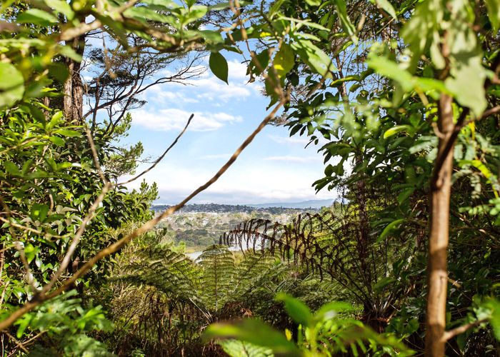  at 32 Kereru Grove, Greenhithe, Auckland