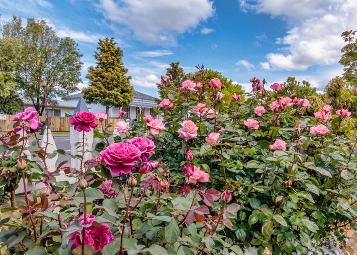 at 105 Riverslea Road South, Akina, Hastings