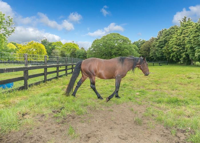  at 211C Discombe Road, Tamahere, Hamilton