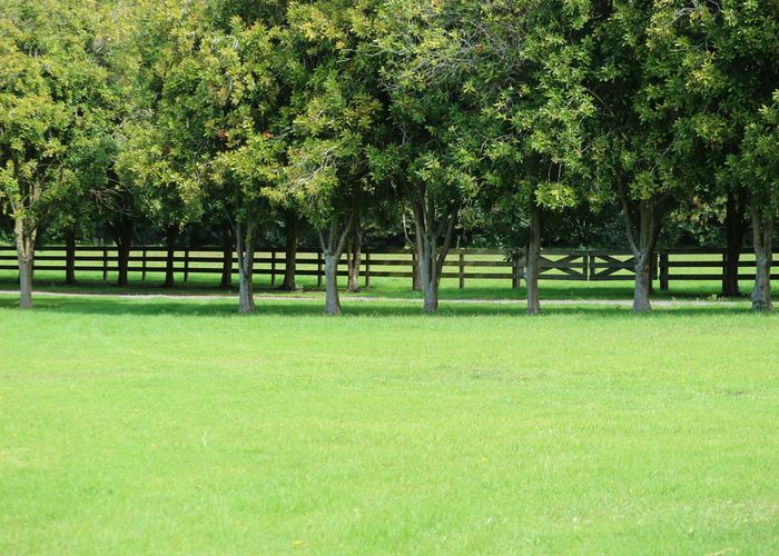  at 36 Ness Road, Kerikeri