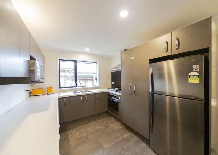  at 67 Balrickard Way, Milson, Palmerston North