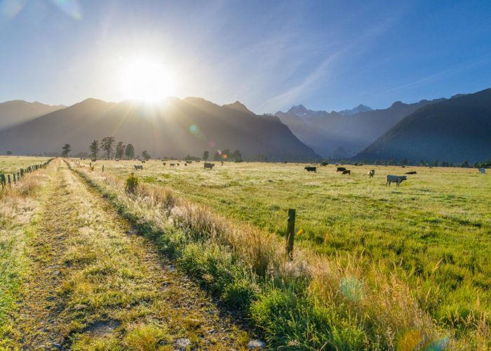  at 298 Cook Flat Road, Fox Glacier, Westland, West Coast