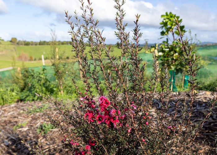  at Lot 3, 127a Rangitane Road, Kerikeri, Far North, Northland
