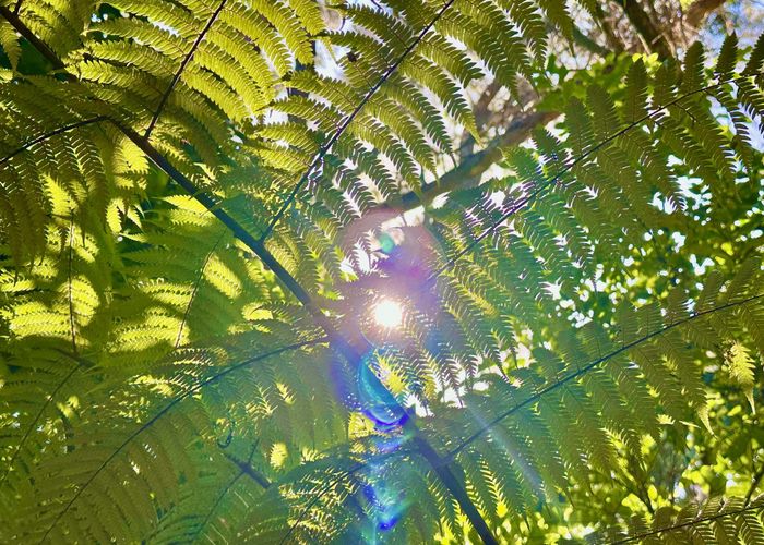  at 5 View Road, Ostend, Waiheke Island, Auckland